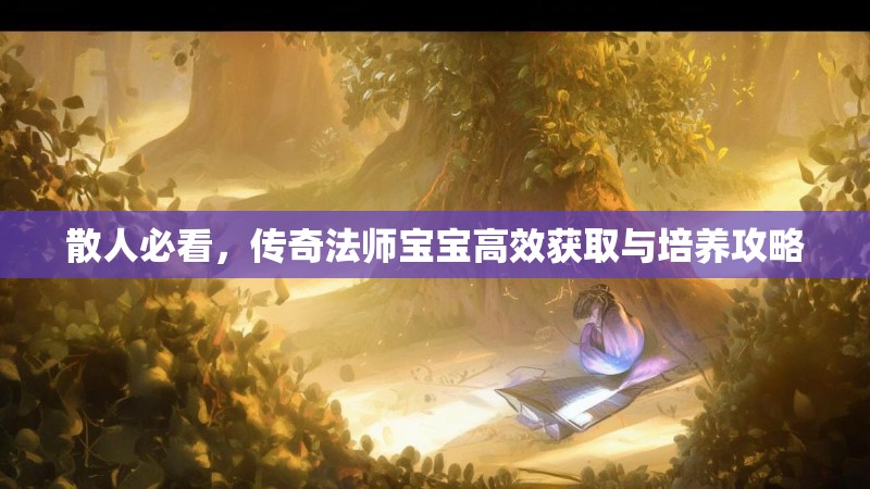 散人必看,传奇法师宝宝高效获取与培养攻略