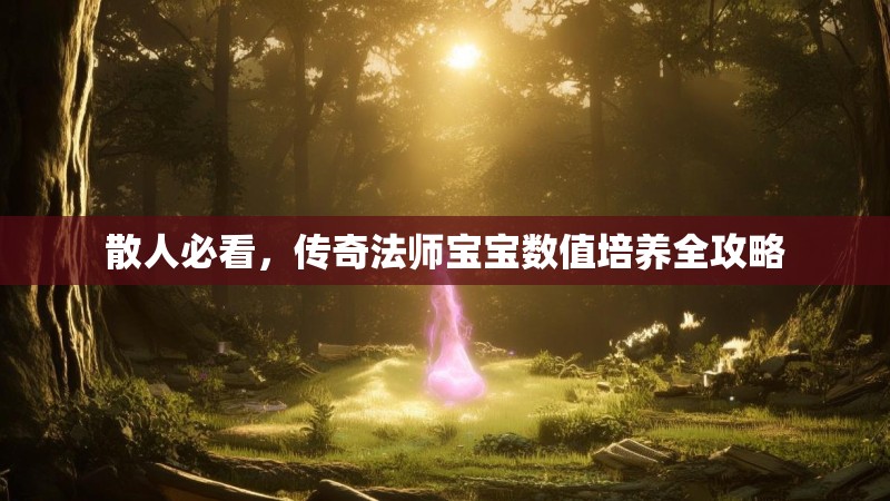 散人必看，传奇法师宝宝数值培养全攻略