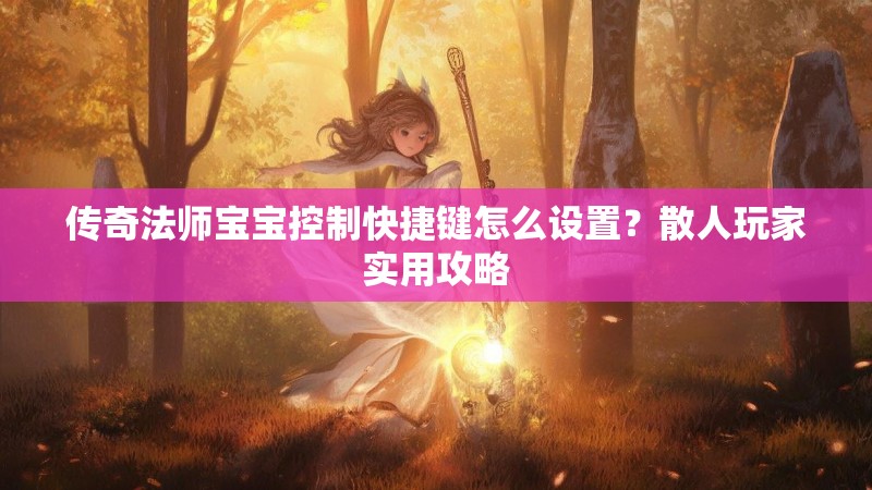 传奇法师宝宝控制快捷键怎么设置?散人玩家实用攻略