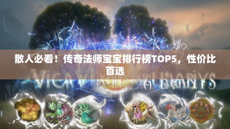 散人必看!传奇法师宝宝排行榜TOP5,性价比首选