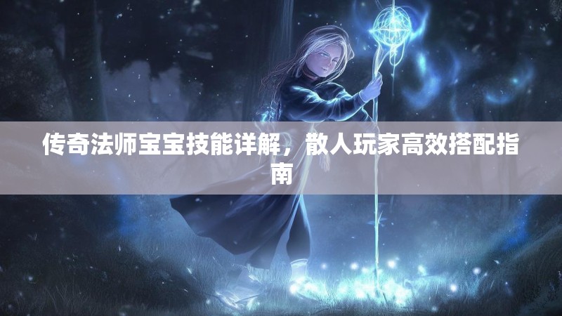 传奇法师宝宝技能详解,散人玩家高效搭配指南