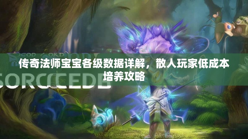 传奇法师宝宝各级数据详解,散人玩家低成本培养攻略