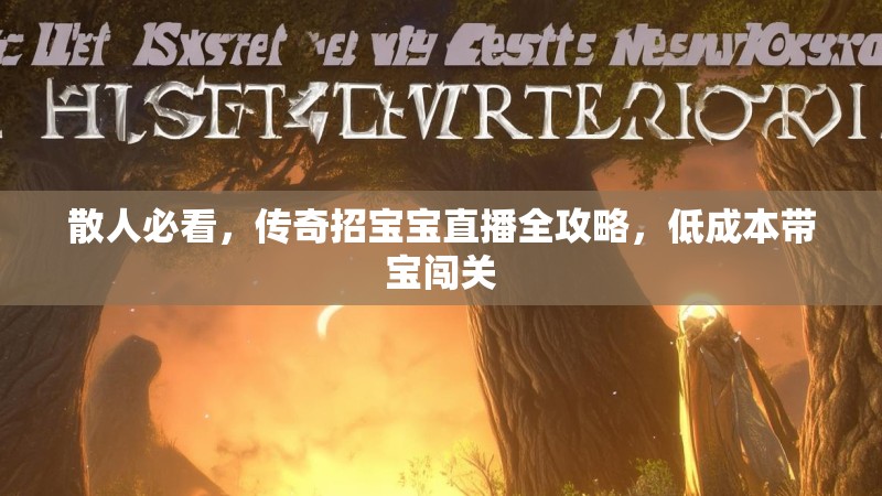 散人必看，传奇招宝宝直播全攻略，低成本带宝闯关