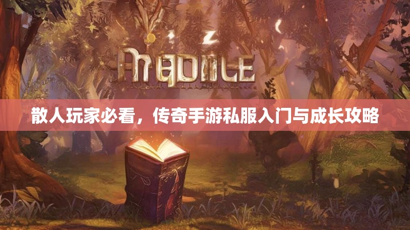 散人玩家必看，传奇手游私服入门与成长攻略