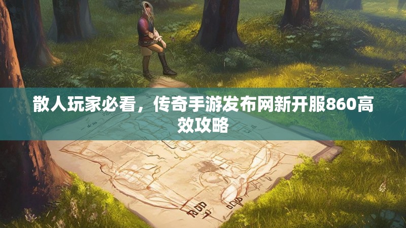 散人玩家必看，传奇手游发布网新开服860高效攻略