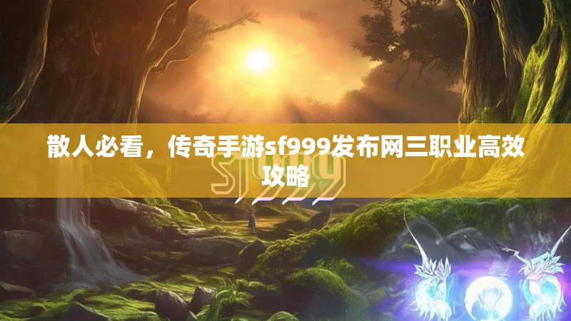 散人必看，传奇手游sf999发布网三职业高效攻略