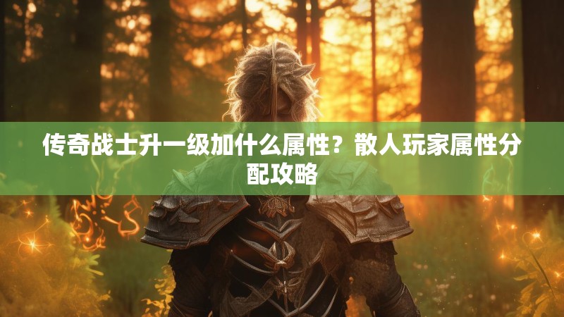 传奇战士升一级加什么属性？散人玩家属性分配攻略