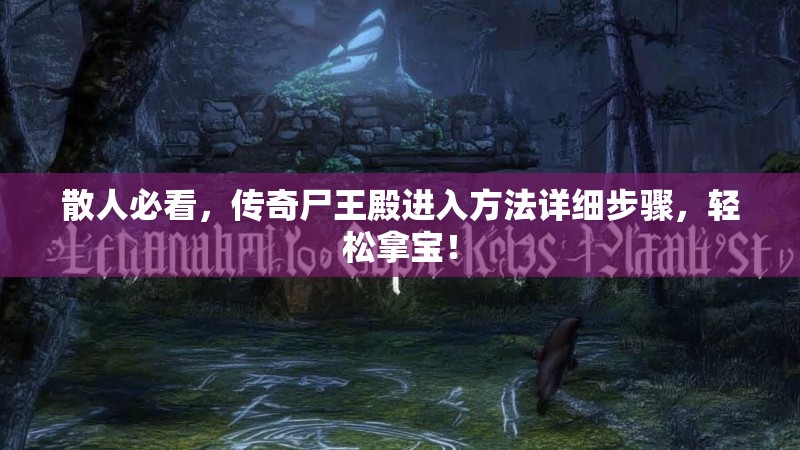 散人必看，传奇尸王殿进入方法详细步骤，轻松拿宝！