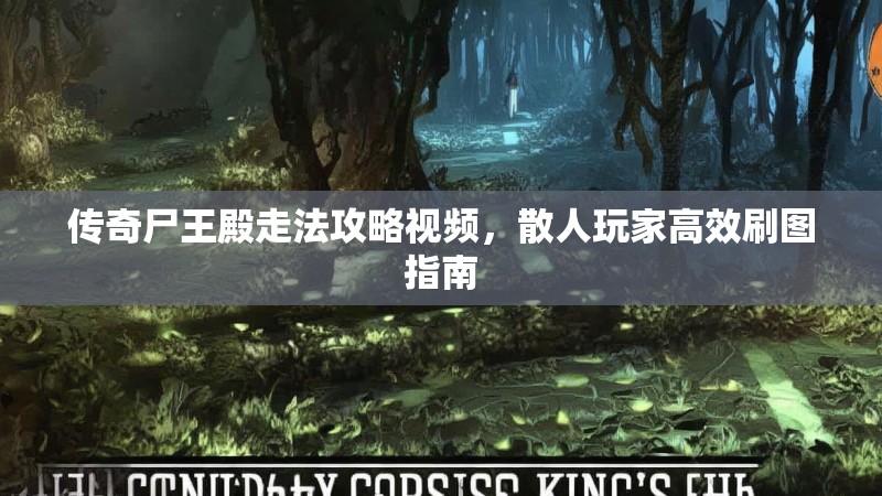 传奇尸王殿走法攻略视频，散人玩家高效刷图指南