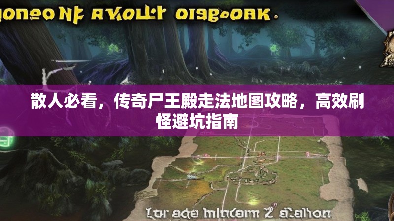散人必看，传奇尸王殿走法地图攻略，高效刷怪避坑指南