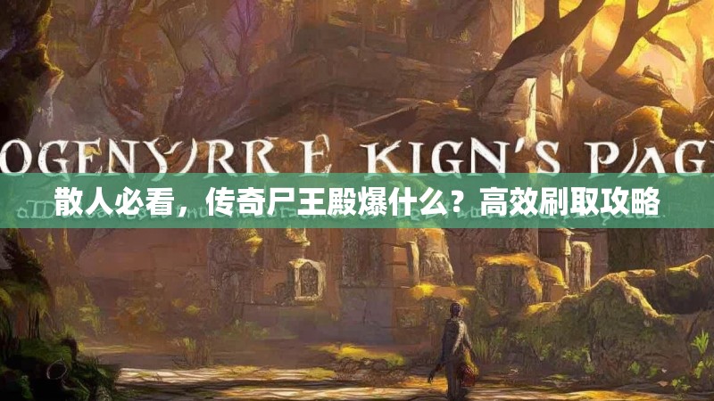 散人必看，传奇尸王殿爆什么？高效刷取攻略