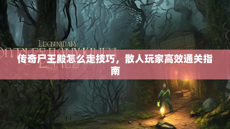 传奇尸王殿怎么走技巧，散人玩家高效通关指南