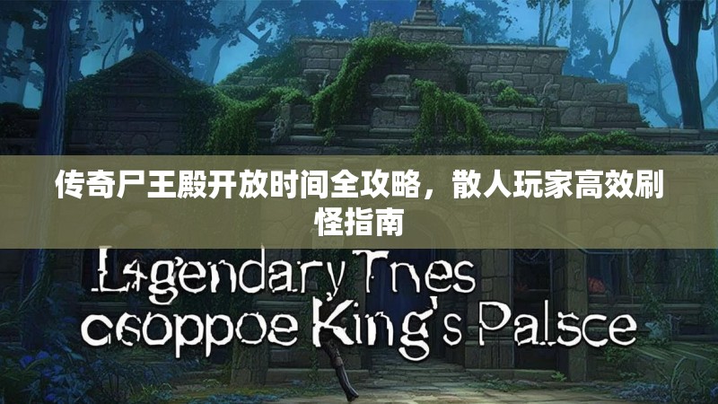 传奇尸王殿开放时间全攻略，散人玩家高效刷怪指南