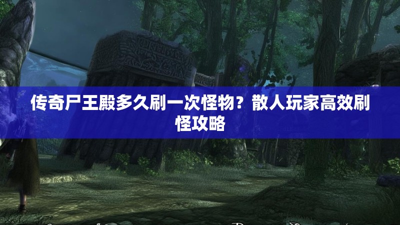 传奇尸王殿多久刷一次怪物？散人玩家高效刷怪攻略