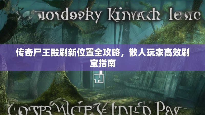 传奇尸王殿刷新位置全攻略，散人玩家高效刷宝指南