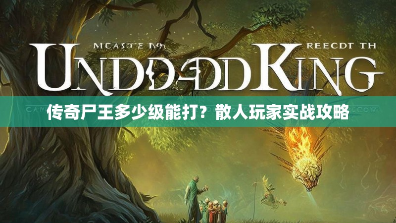 传奇尸王多少级能打？散人玩家实战攻略