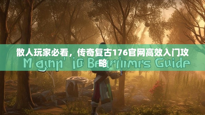 散人玩家必看，传奇复古176官网高效入门攻略