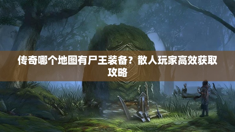 传奇哪个地图有尸王装备?散人玩家高效获取攻略
