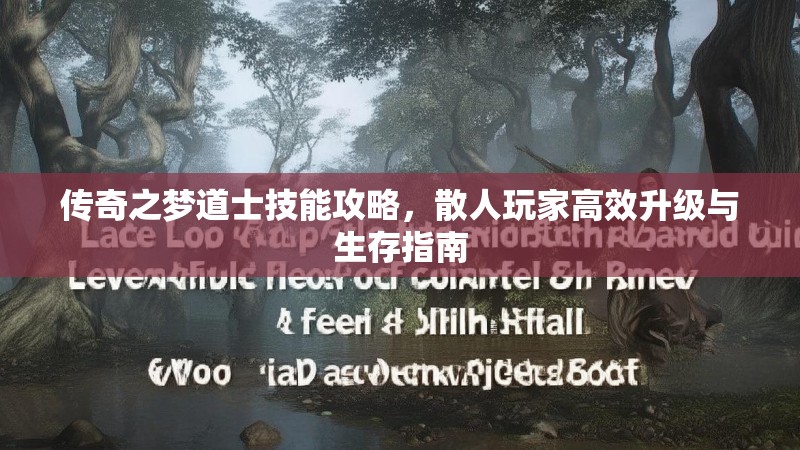 传奇之梦道士技能攻略,散人玩家高效升级与生存指南