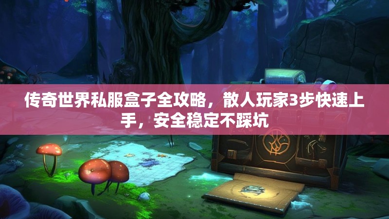 传奇世界私服盒子全攻略,散人玩家3步快速上手,安全稳定不踩坑