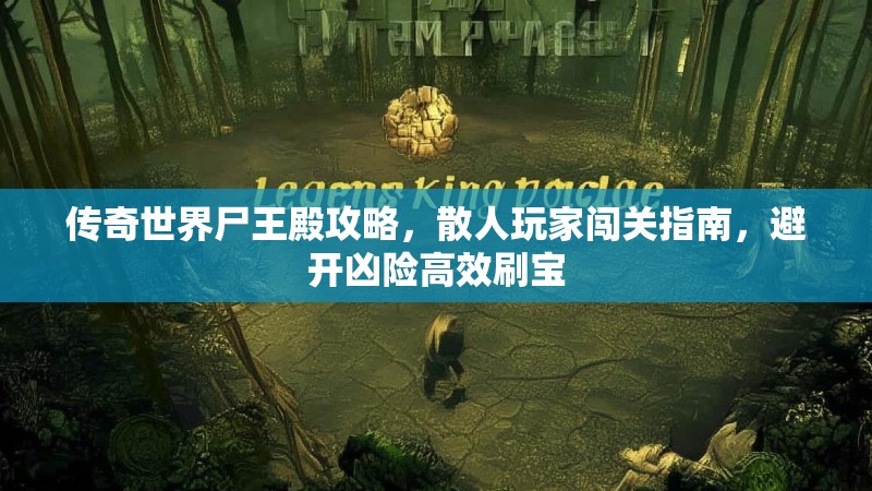 传奇世界尸王殿攻略,散人玩家闯关指南,避开凶险高效刷宝