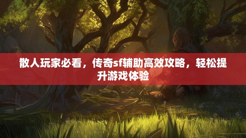 散人玩家必看，传奇sf辅助高效攻略，轻松提升游戏体验