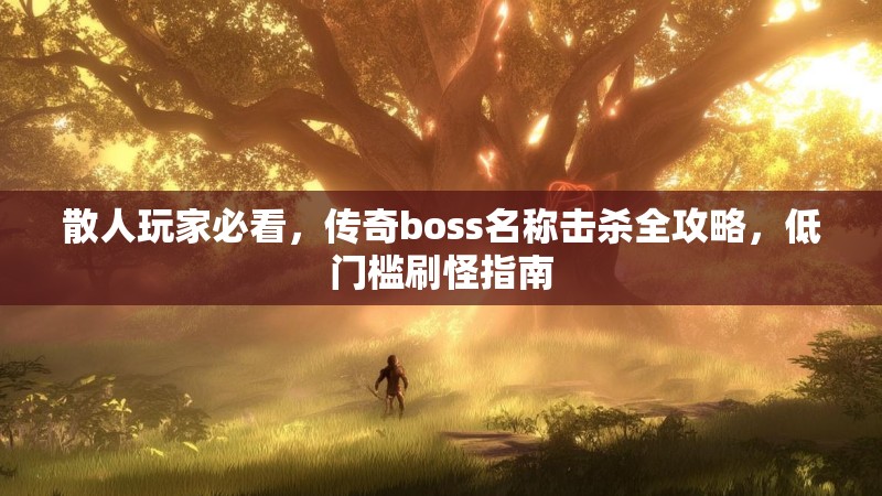 散人玩家必看,传奇boss名称击杀全攻略,低门槛刷怪指南