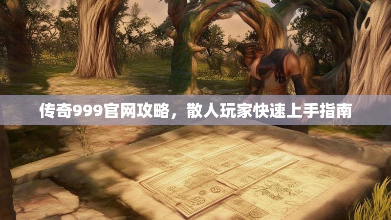 传奇999官网攻略,散人玩家快速上手指南