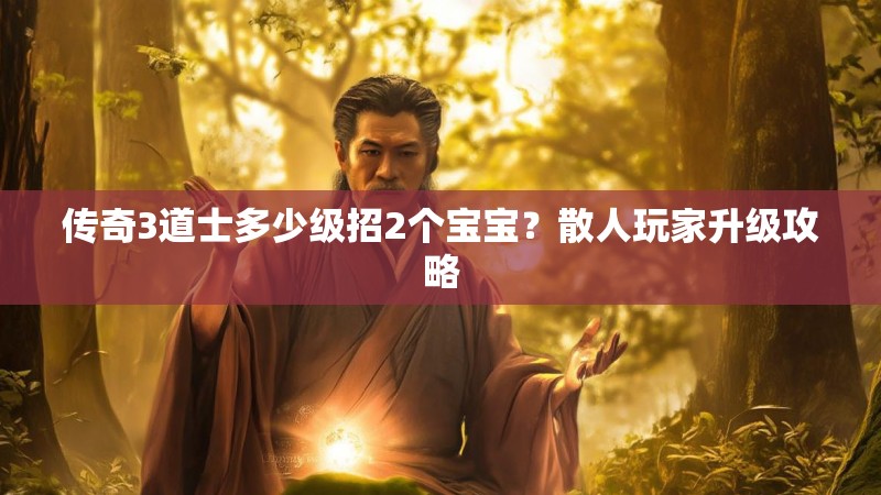 传奇3道士多少级招2个宝宝?散人玩家升级攻略