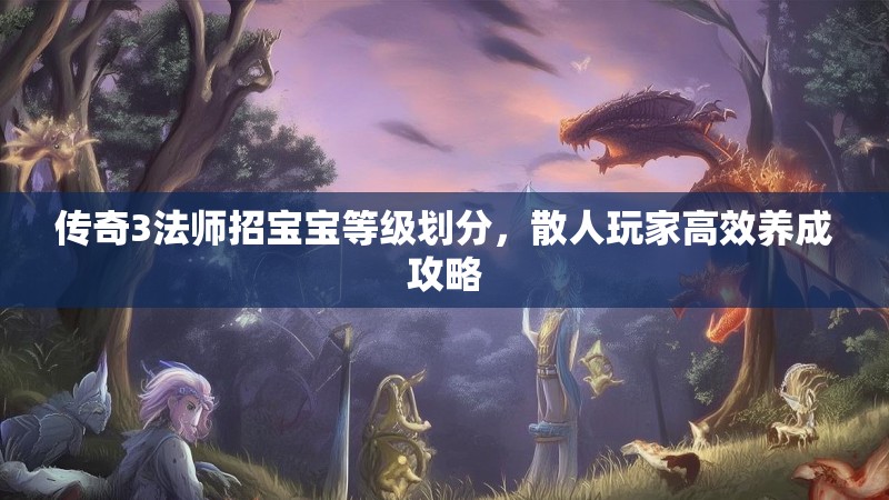 传奇3法师招宝宝等级划分,散人玩家高效养成攻略