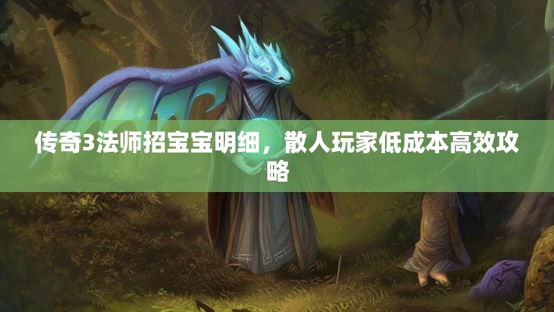 传奇3法师招宝宝明细,散人玩家低成本高效攻略