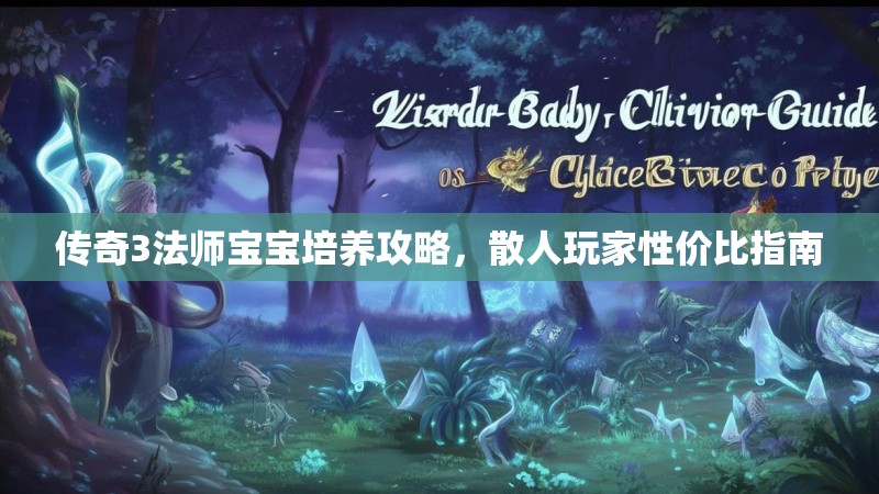 传奇3法师宝宝培养攻略,散人玩家性价比指南