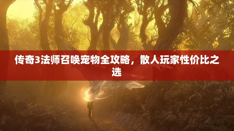 传奇3法师召唤宠物全攻略,散人玩家性价比之选