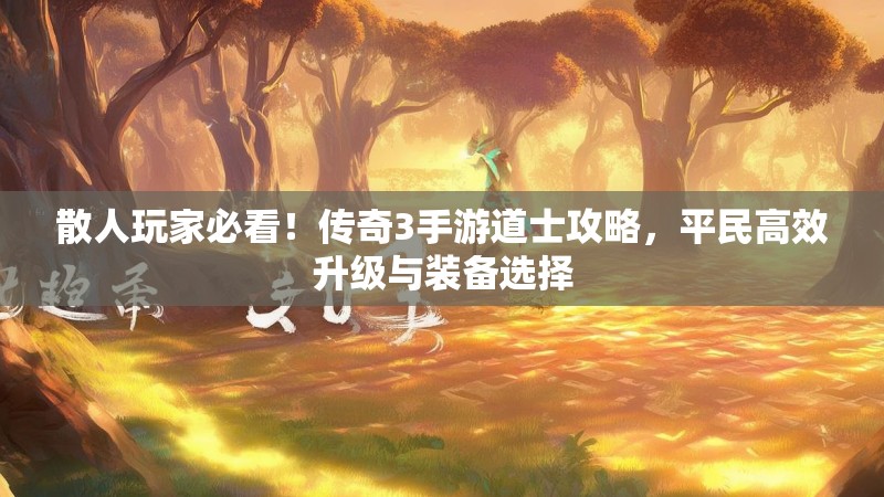 散人玩家必看！传奇3手游道士攻略，平民高效升级与装备选择