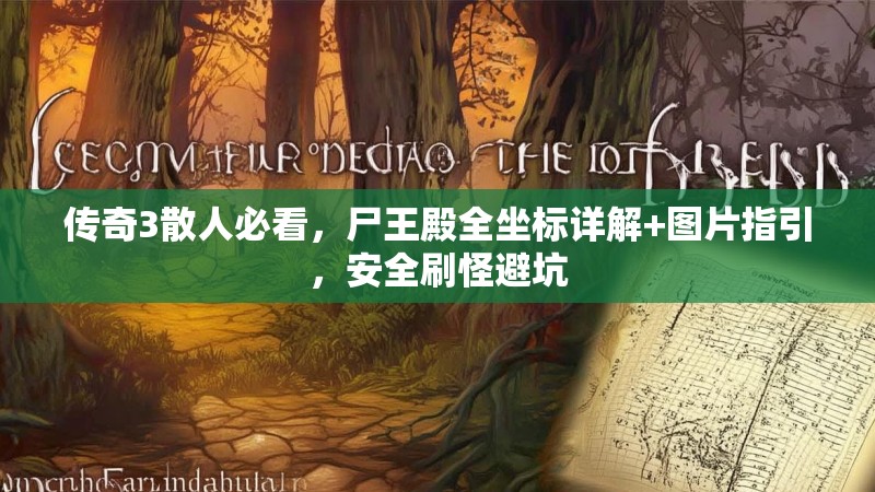 传奇3散人必看,尸王殿全坐标详解+图片指引,安全刷怪避坑