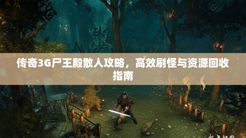 传奇3G尸王殿散人攻略,高效刷怪与资源回收指南