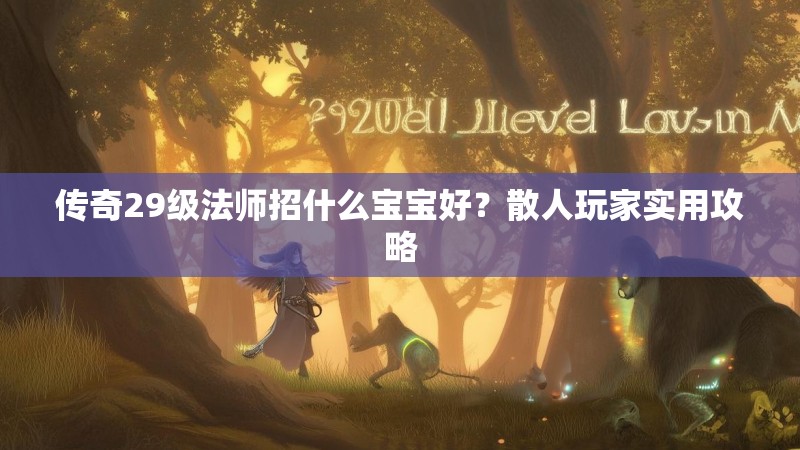 传奇29级法师招什么宝宝好?散人玩家实用攻略
