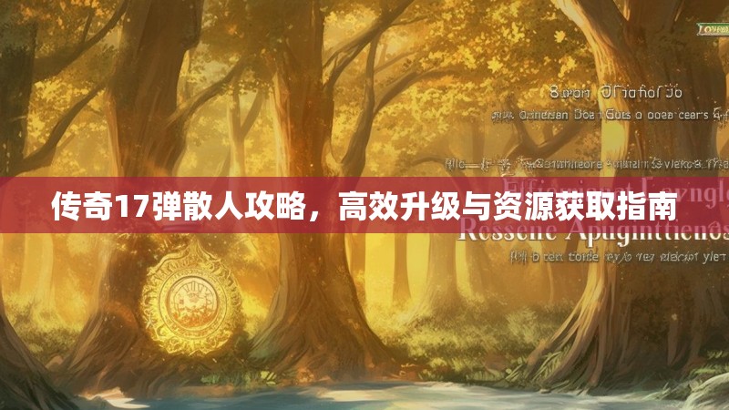 传奇17弹散人攻略,高效升级与资源获取指南