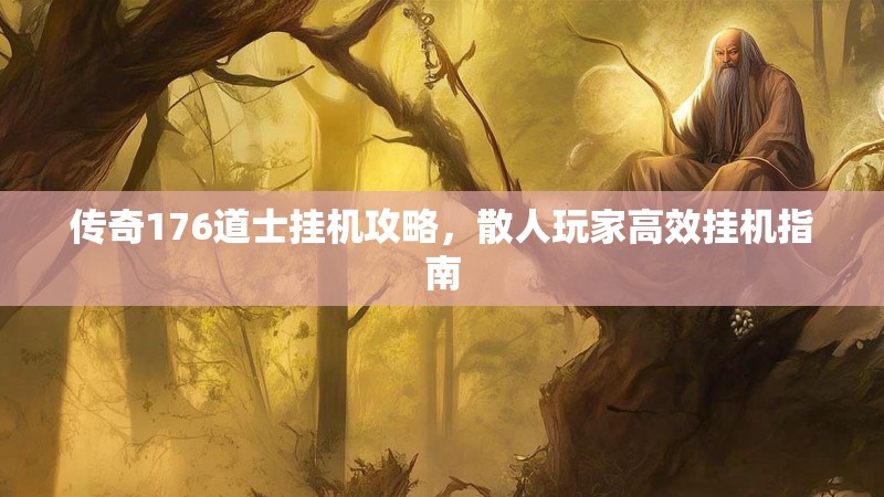 传奇176道士挂机攻略,散人玩家高效挂机指南