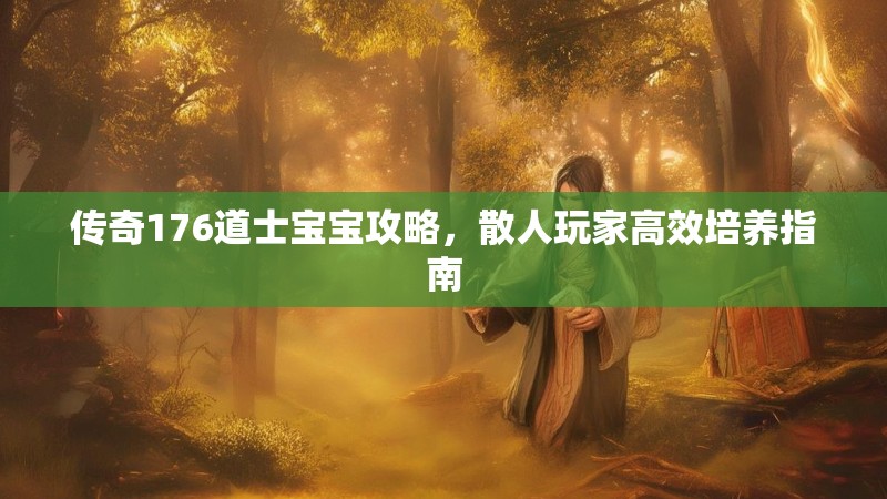 传奇176道士宝宝攻略,散人玩家高效培养指南
