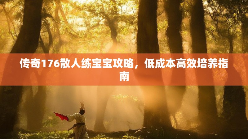 传奇176散人练宝宝攻略,低成本高效培养指南