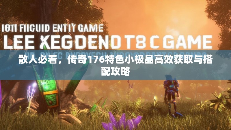 散人必看,传奇176特色小极品高效获取与搭配攻略
