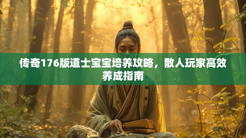 传奇176版道士宝宝培养攻略,散人玩家高效养成指南