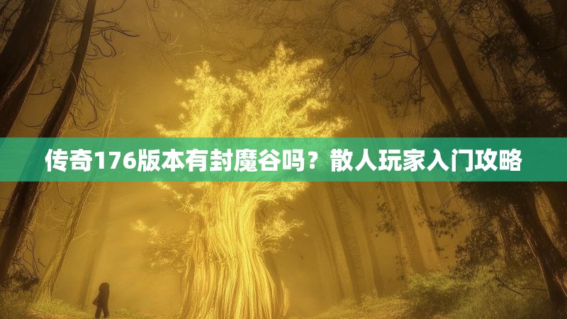 传奇176版本有封魔谷吗?散人玩家入门攻略