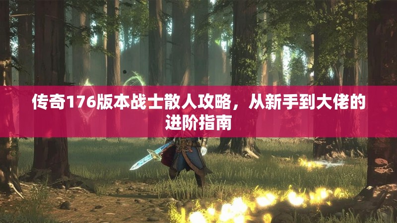 传奇176版本战士散人攻略,从新手到大佬的进阶指南