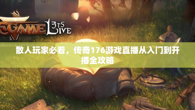 散人玩家必看,传奇176游戏直播从入门到开播全攻略