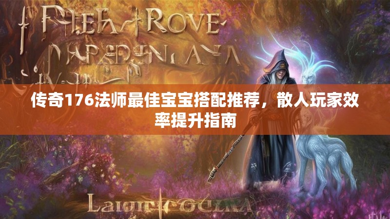 传奇176法师最佳宝宝搭配推荐,散人玩家效率提升指南
