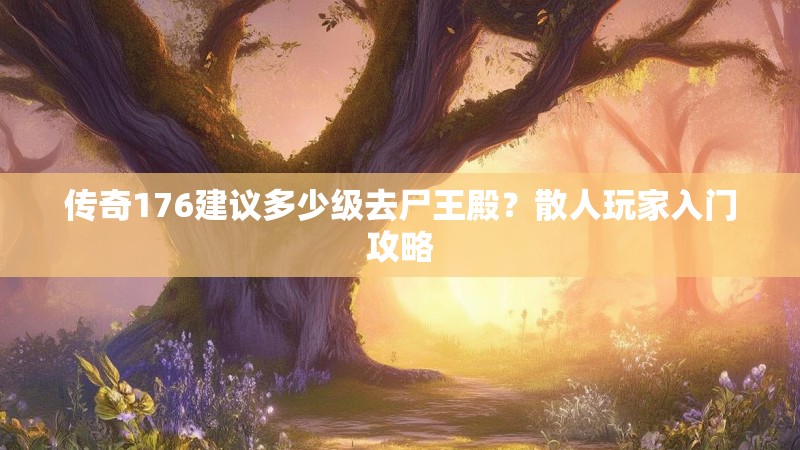 传奇176建议多少级去尸王殿?散人玩家入门攻略