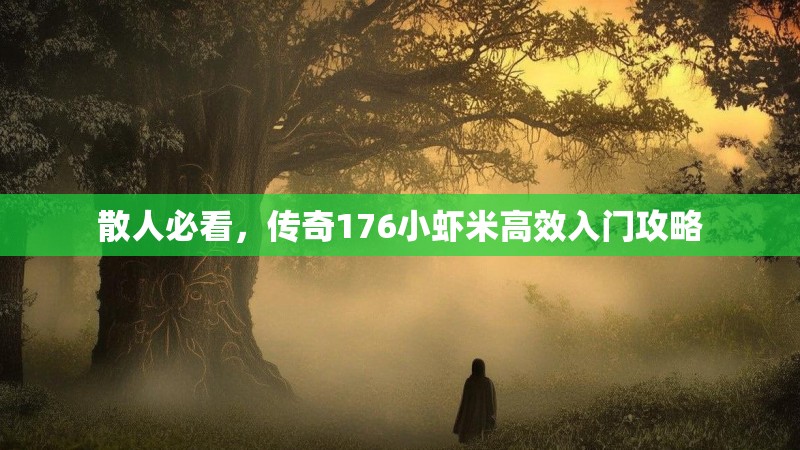 散人必看，传奇176小虾米高效入门攻略