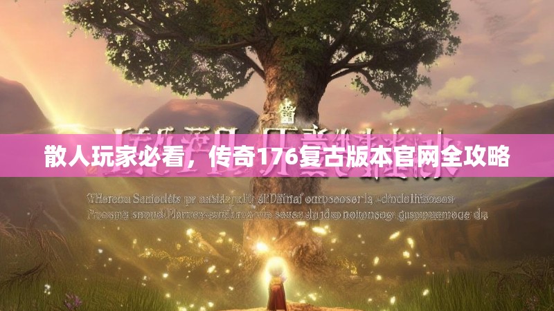 散人玩家必看,传奇176复古版本官网全攻略